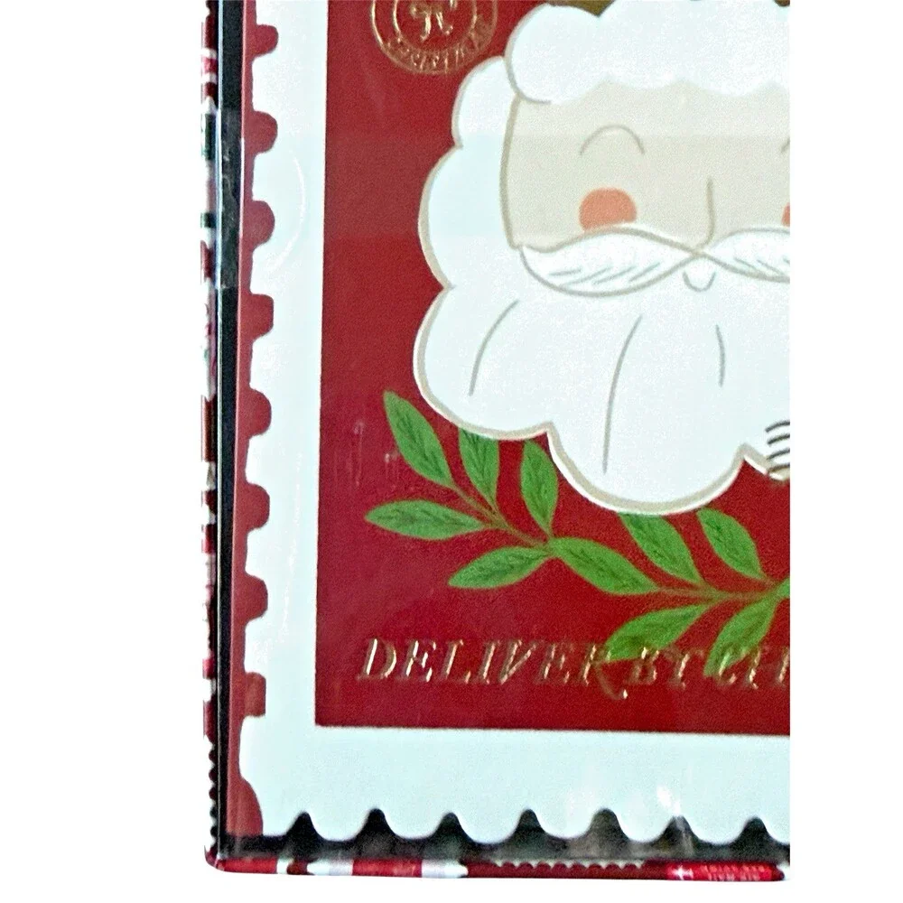 Fringe Studio Delivery By Christmas Box of 12 Cards & Envelopes Santa Claus